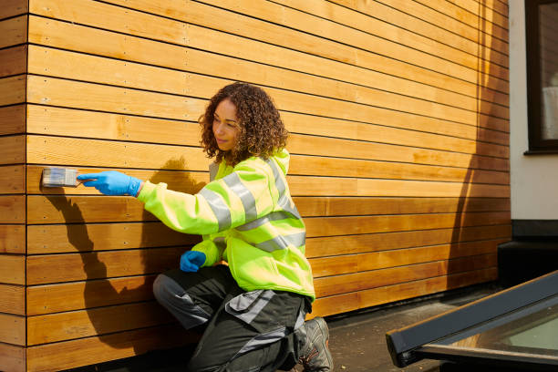 Best Vinyl Siding Installation  in Tucson Estates, AZ