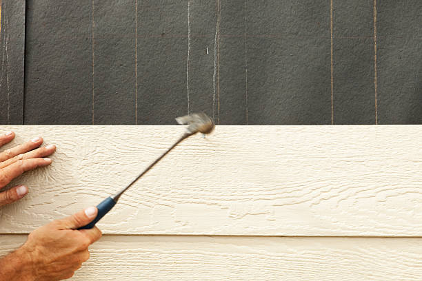 Best Fascia and Soffit Installation  in Tucson Estates, AZ